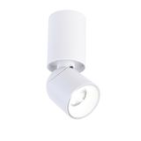 Skadi LED Adjustable Spotlight 8W 900Lm 4000K White