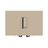 N2214.1 CV Card switch with LED exchangeable Champagne - Zenit