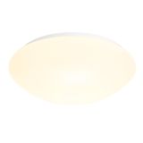 RKL 3 ceiling/wall light, E27, 2x60W, IP40, opal, white