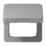 Centre plate with hinged lid CD590BFKLGR