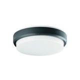 Outdoor Ceiling Lamp Dark Grey Tinos