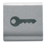 INTERCHANGEABLE BUTTON KEY - 22X22mm - KEY - TITANIUM - CHORUSMART