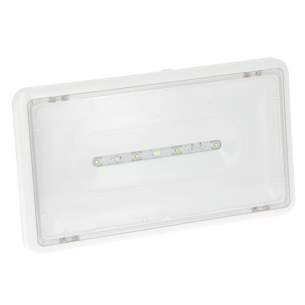 LSC EVACUATION A LEDS PLASTIQUE IP43 IK0 7 24VDC image 1