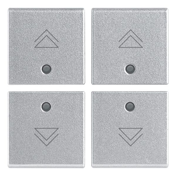 Four half-buttons 1M regul.symbol Silver image 1