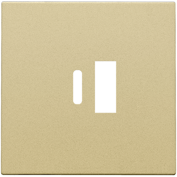 Finishing set for dual smart USB-A and USB-C charger, gold coated image 2