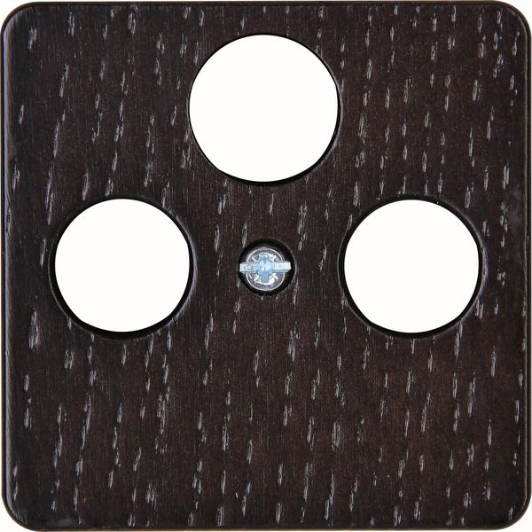 Antenna cover plate for antenna socket T image 1