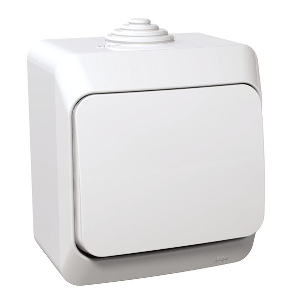 Cedar Plus - 1pole switch - 16AX, white image 2