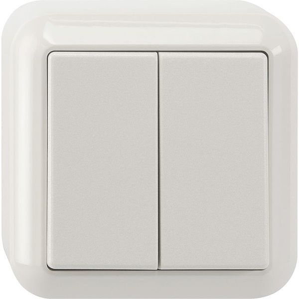 Series switch, 1-pole, polar white, surface-mounted image 1