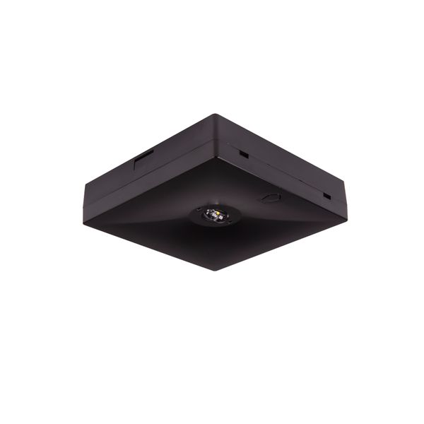 Starlet QUAD LED SC 250 SA 3H MT [BLK] image 1