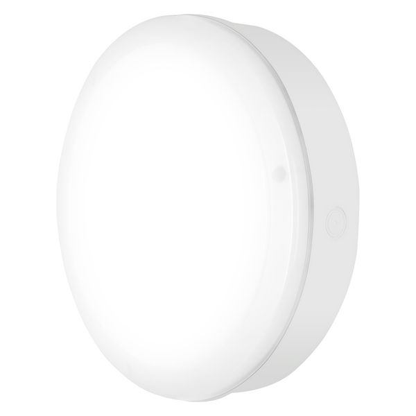 SURFACE BULKHEAD 250 SENSOR 10W 840 WT IP65 image 10