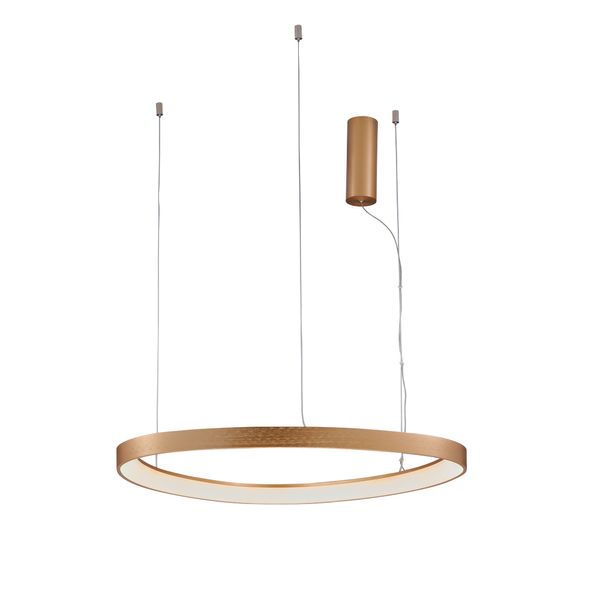 Pendant Lamp D:600 Loop image 1