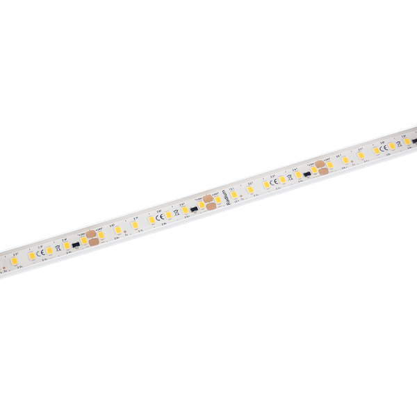 LED Star Strip 400 Waterproof, LED STRIP 400 S 865/24V/IP67 IND image 1