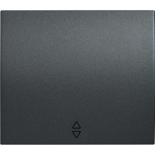 Thea Blu Accessory Black Two Way Switch image 1