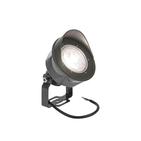 FLORI SPOT 25DEG 24V 24W NW IP65 5 YEAR WARRANTY image 8