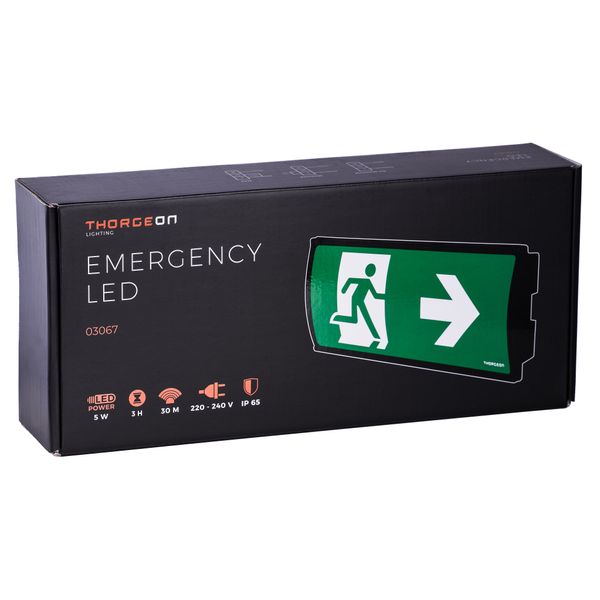 Emergency LED 3H 5W 6000K 50Lm 30m IP65 IK08 black THORGEON image 1