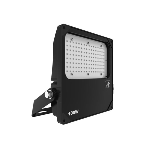 Aztec Symmetrical Floodlight 100W image 1