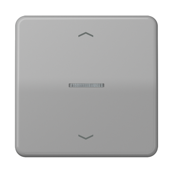 Centre plate for motor control inserts FMCD5232GR image 4