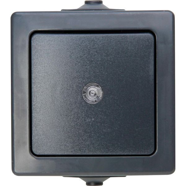 Pushbutton switch, NAUTIC; colour: anthr image 1