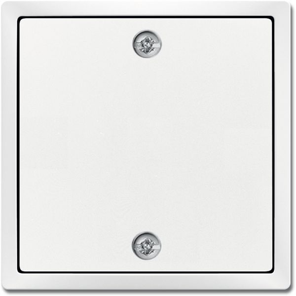 1796-84 CoverPlates (partly incl. Insert) future®, Busch-axcent®, solo®; carat® Studio white image 1