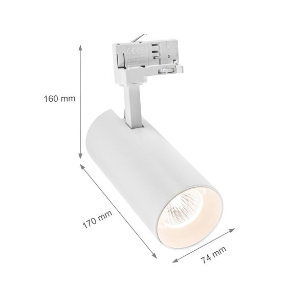 ANDROMEDA COB LED 25W WW 3F white (3 phases) 36deg 60deg image 19