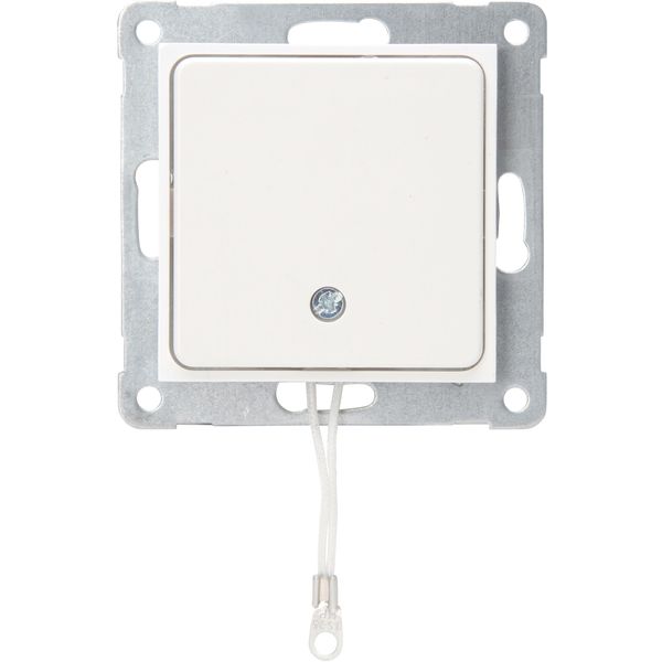 Pull switch with cover image 1
