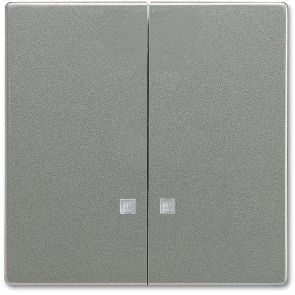 1785 K-803 CoverPlates (partly incl. Insert) Busch-axcent®, solo® grey metallic image 1