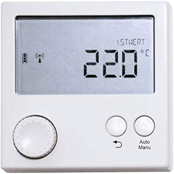 Wireless temperature controller with display, white image 1