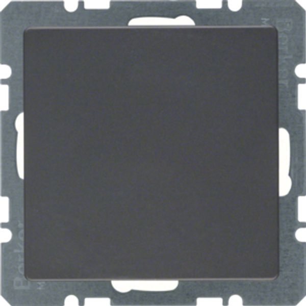Blind plug centre plate, Q.1/Q.3, ant. velvety, lacq. image 1