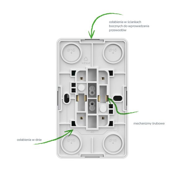 BERG SOCKET 2x2P+Z image 5