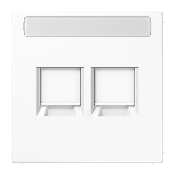 Centre plate for MJ f. 2 sockets LS1969-2NAWEWW image 2