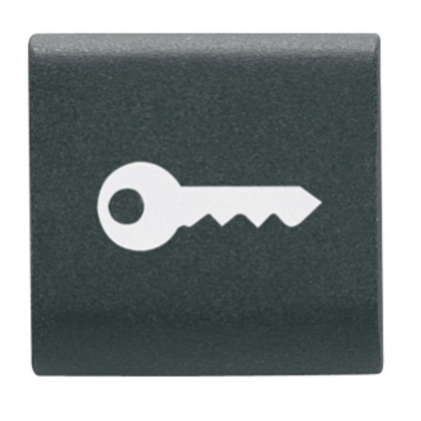 INTERCHANGEABLE BUTTON KEY - 22X22mm - KEY - SATIN BLACK - CHORUSMART image 1