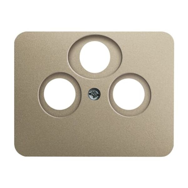 1758-260 CoverPlates (partly incl. Insert) carat® Palladium image 2