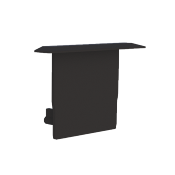 End cap for profile; cover M, Endcap MEDIUM wing profile black image 3