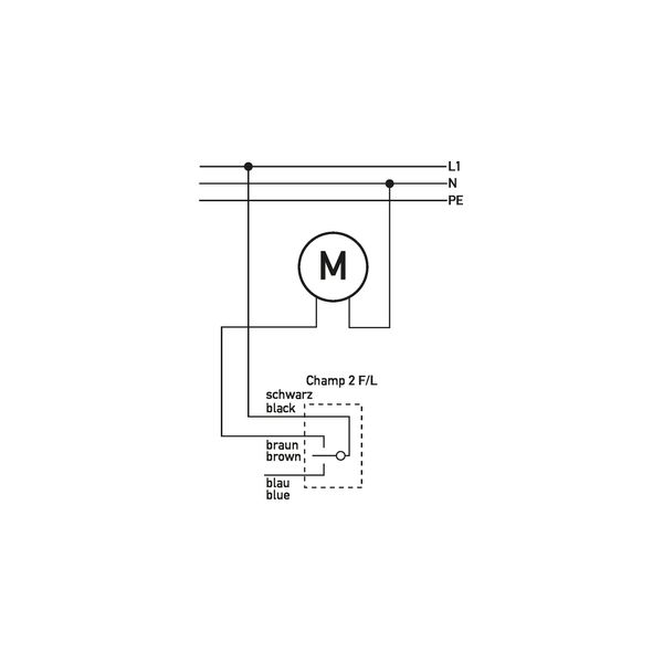 2-gang frame CD582WUGR image 7