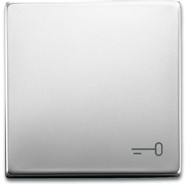 2520 TR-866 CoverPlates (partly incl. Insert) pure stainless steel Stainless steel image 1