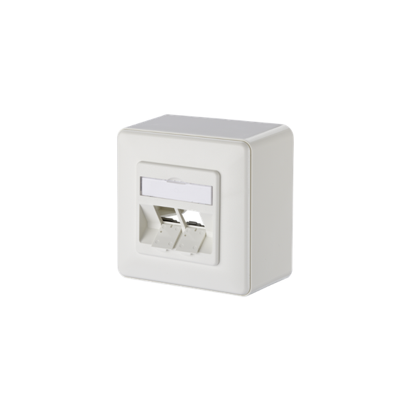 Keystone wall outlet surface mounted 2 port unequipped pure white image 3