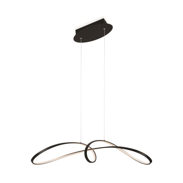 Modern Curve Pendant lamp Black image 1