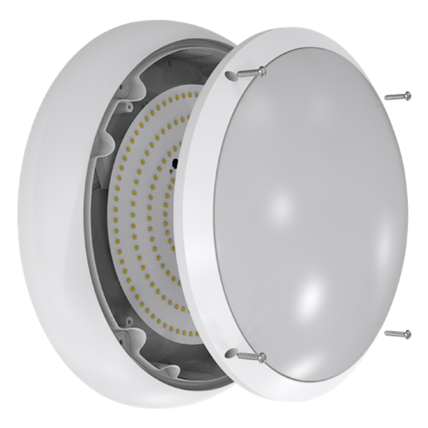 ARX Anti-Ligature Bulkhead CCT White Switch Dim Self-Test Emergency image 7