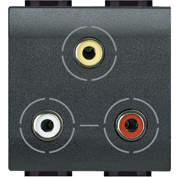 Triple RCA video socket 2 modules LivingLight anthracite image 2