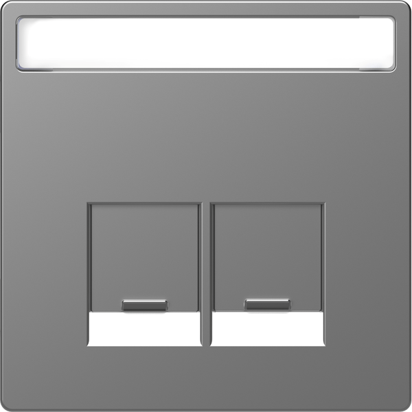 Cen.pl. 2-gng w. labeling field f. Schneider Electric RJ45-Connctr. ss.Sys.Des. image 5