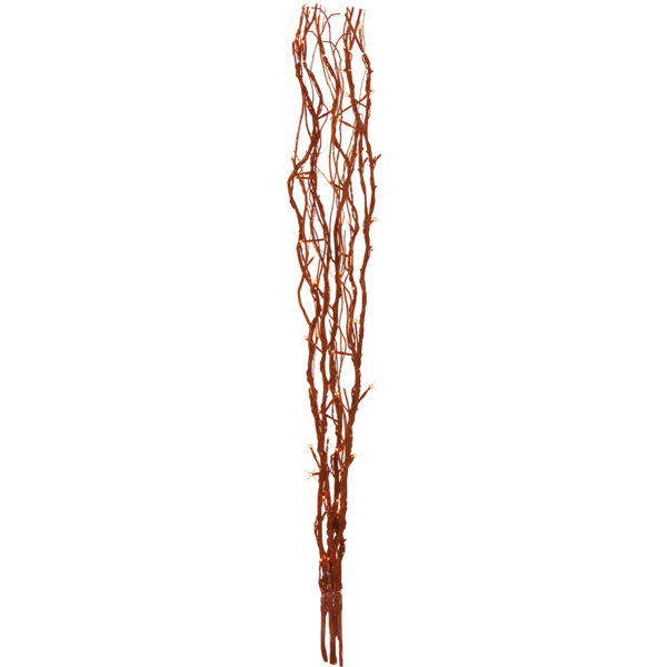 Decorative Twig Willow image 1