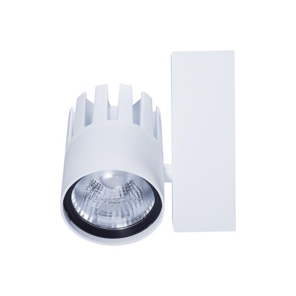 LEDSpot3C-P 30W-3000-40D-WH image 2