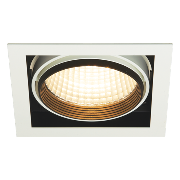 Unity Square 1 Downlight DSI image 1