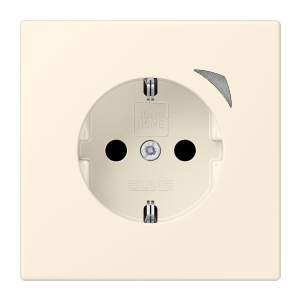 JUNG HOME SCHUKO socket BTLC1521S245 image 1