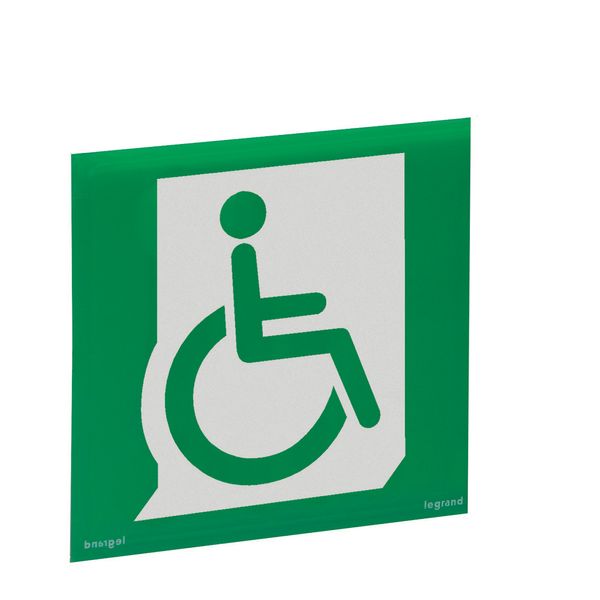 DISABLED EVACUATION LABEL image 1