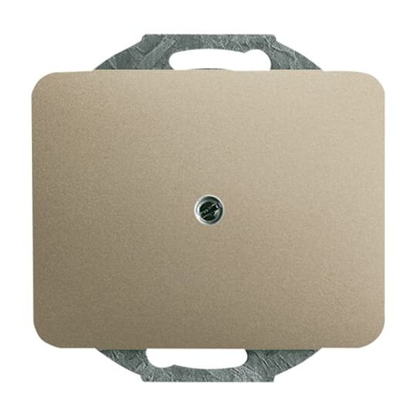 1800-260 CoverPlates (partly incl. Insert) carat® Palladium image 2