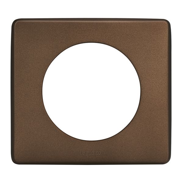 1 GANG PLATE SATIN BRONZE image 1