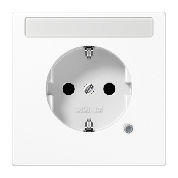 SCHUKO socket with inscription field LS1520NASWM image 3