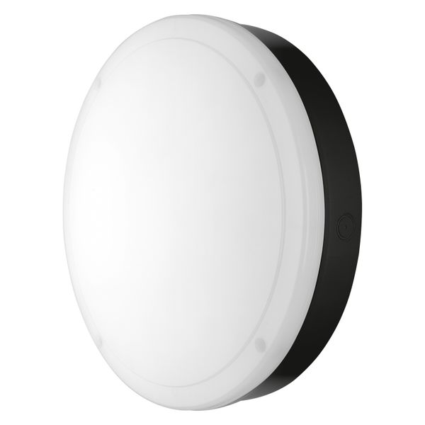 SURFACE BULKHEAD 300 EMERGENCY 15W 830 BK IP65 image 7