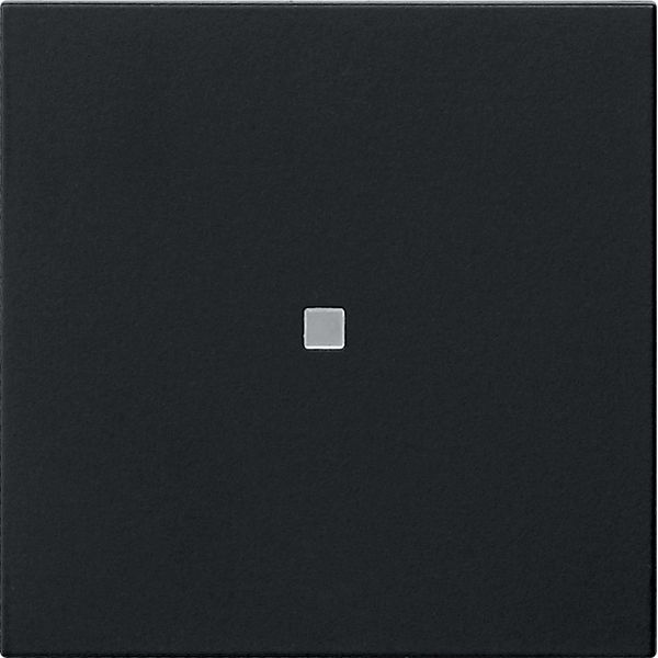 rocker 1-g blank ctrl.win. System 55 black m image 1